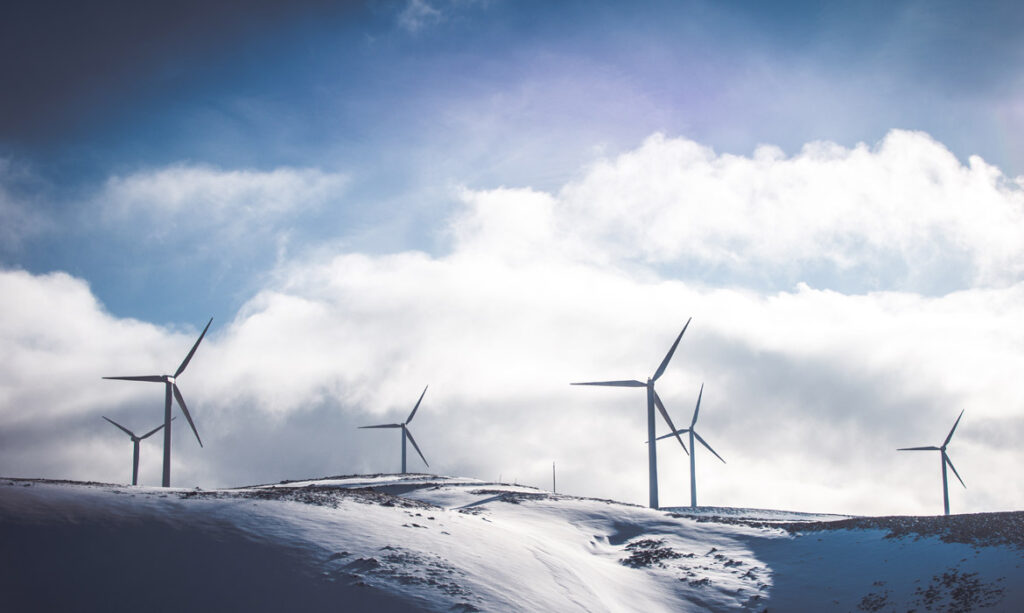 Help the Environment By  Going Organic